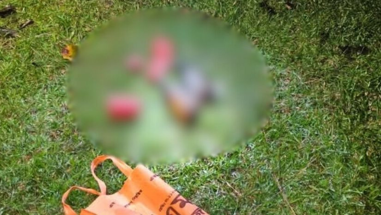 উদ্ধারকৃত ককটেল ও পেট্রোল বোমা