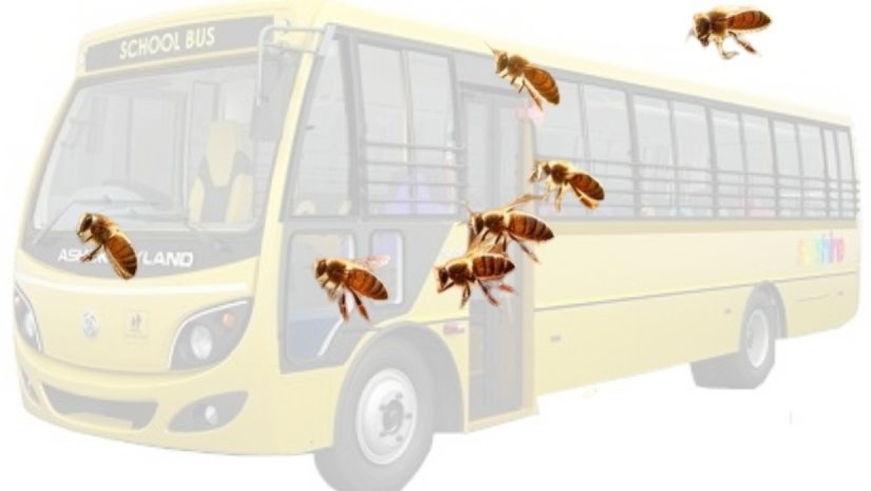 মিরসরাইয়ে মাদ্রাসার শিশু শিক্ষার্থী ভর্তি চলন্ত গাড়িতে হানা দিয়েছে মৌমাছির ঝাঁক