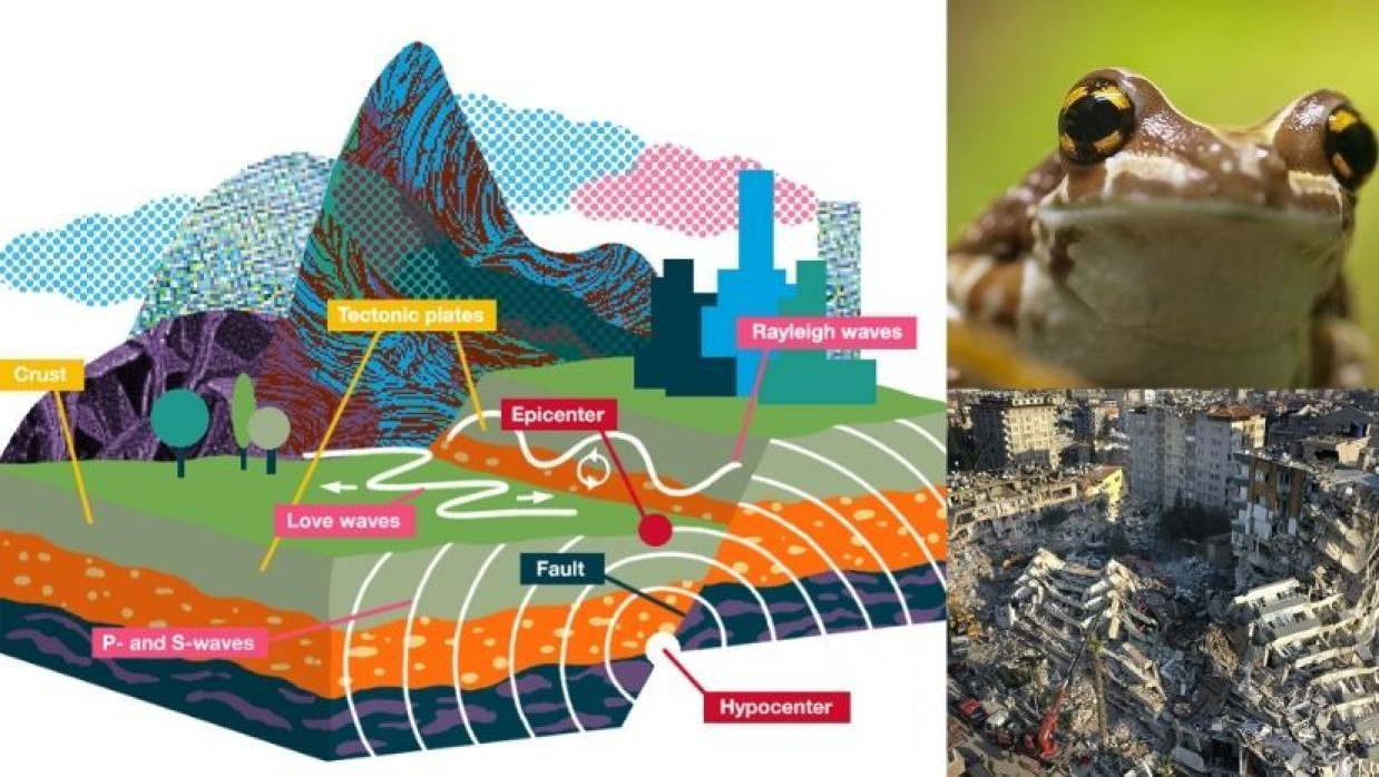 ভূমিকম্প নিয়ে প্রকৃতিতে নানা ধরনের চমকপ্রদ ঘটনা ঘটে