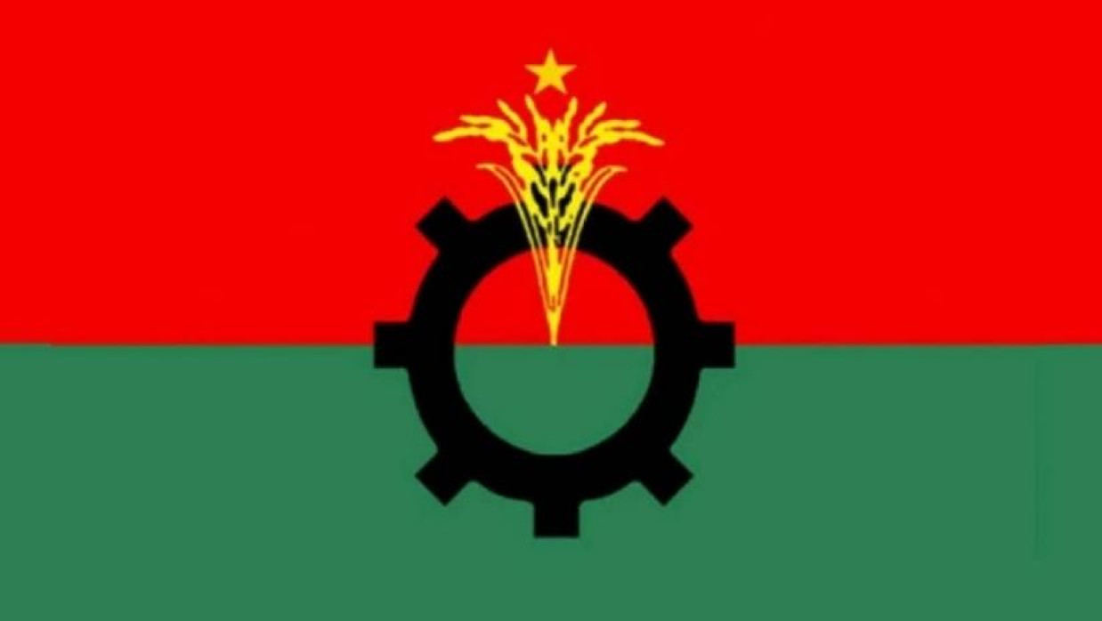 বিএনপির লোগো 