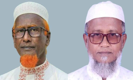 একই আসন থেকে জামায়াত-বিএনপির ২ ভাই প্রার্থী