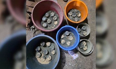 জেনেভা ক্যাম্প থেকে ৩৫টি ককটেল উদ্ধার