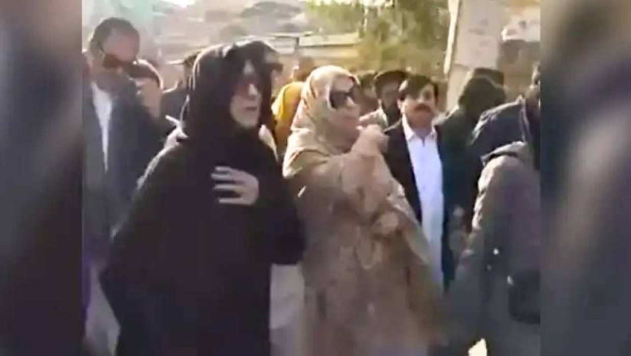 ইমরান খানের সঙ্গে সাক্ষাতে তার বোন উজমা খানুম