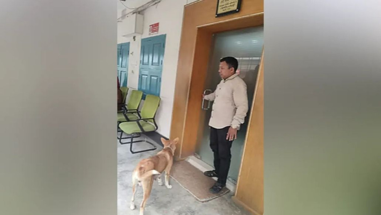 ঈশ্বরদী উপজেলা নির্বাহী কর্মকর্তার (ইউএনও) কার্যালয়ের দরজার সামনে দাঁড়িয়ে ছিল কুকুরটি