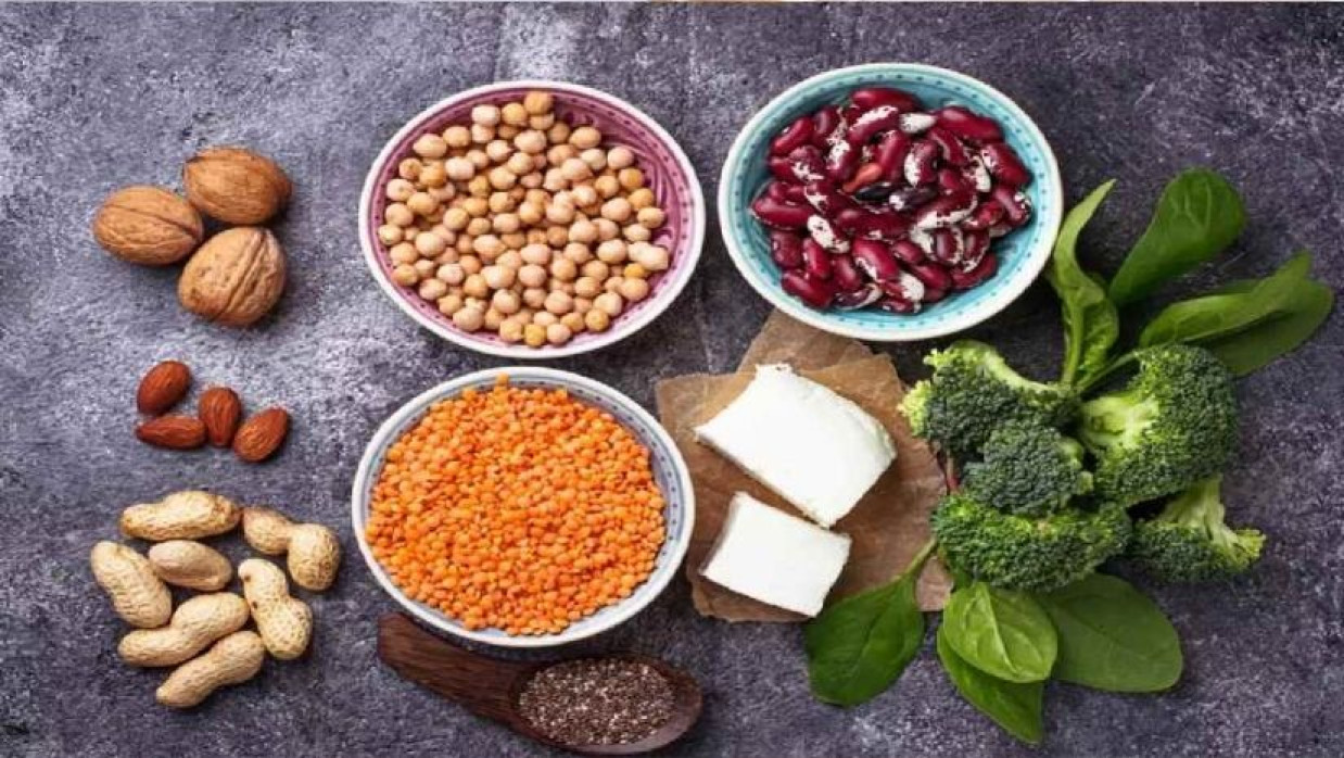 প্রোটিনযুক্ত খাদ্য 