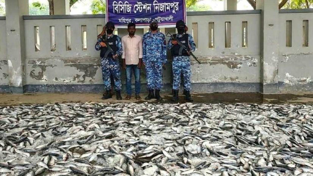 জব্দ করা জাটকা