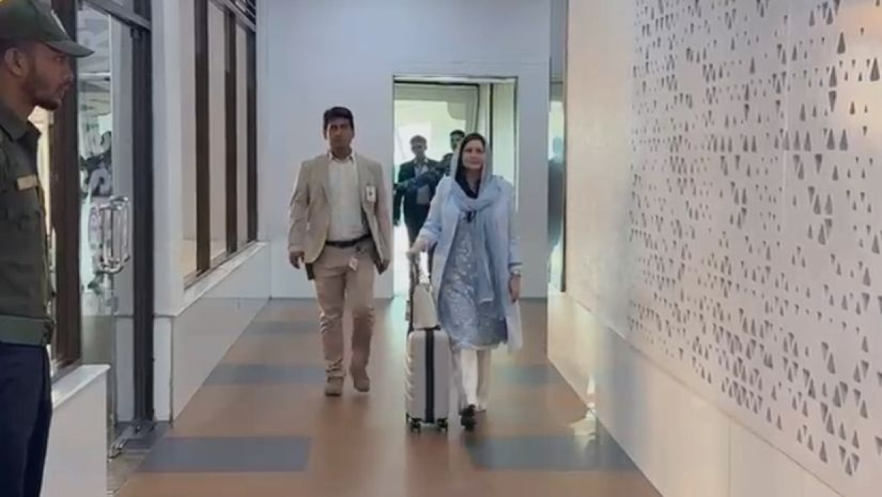 ঢাকায় পৌঁছেছেন ডা. জোবায়দা রহমান