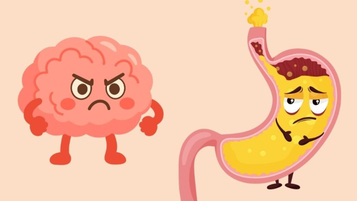 মস্তিষ্ক ও পেটের প্রতীকী ছবি
