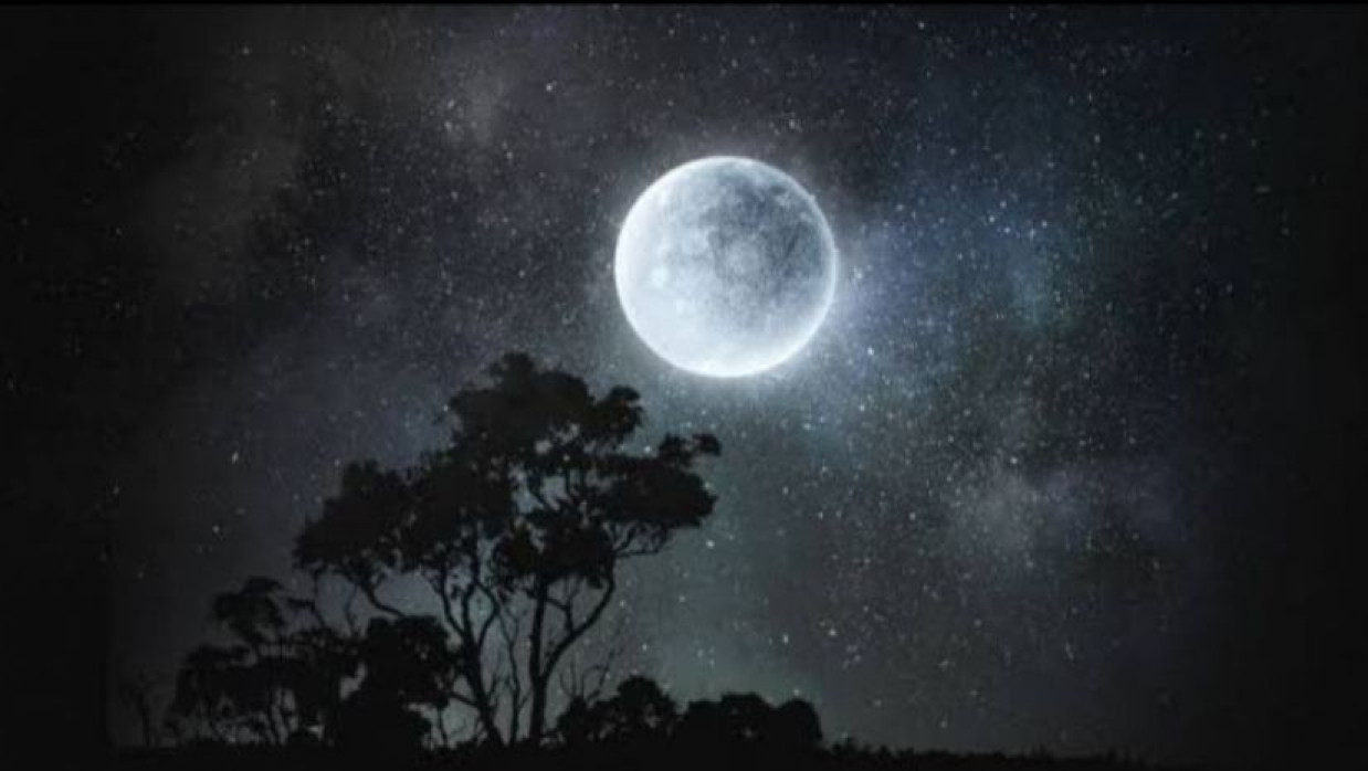 প্রতীকী ছবি