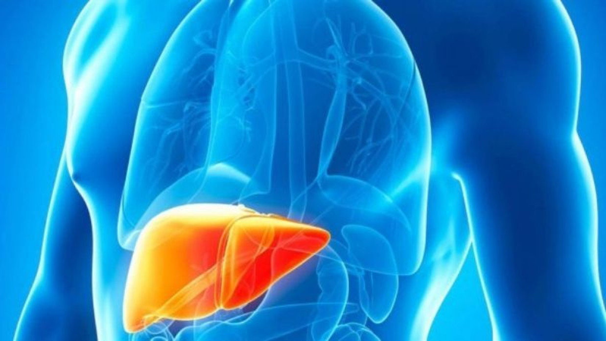 কিছু সবজি লিভার ভালো রাখতে সহায়তা করে