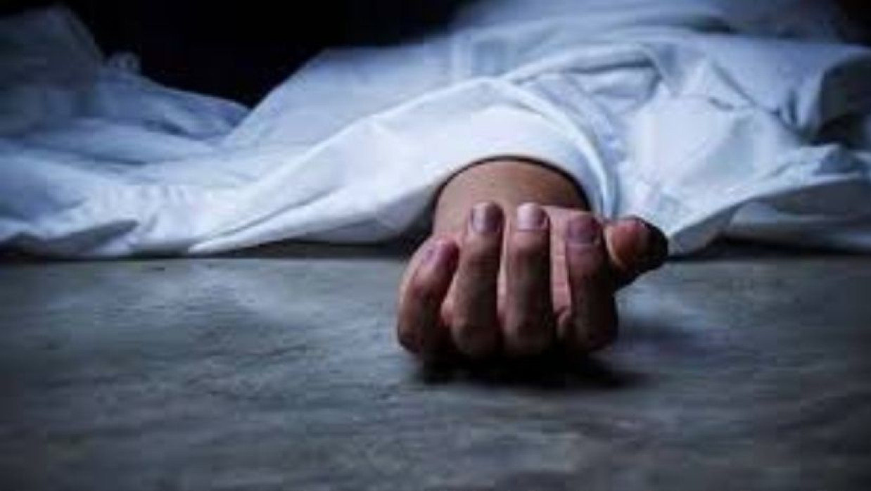  সড়ক দুর্ঘটনায় নিহত মা-ছেলে