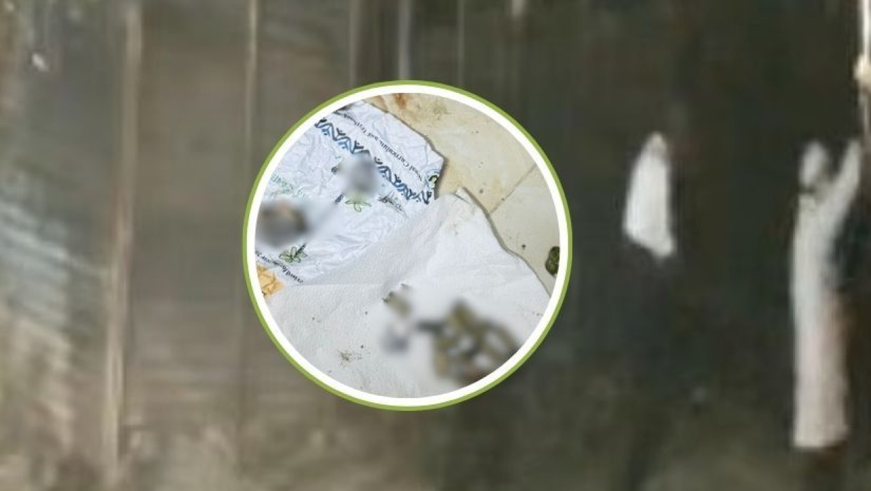 ছাত্রদল নেতার বাড়িতে গুলি