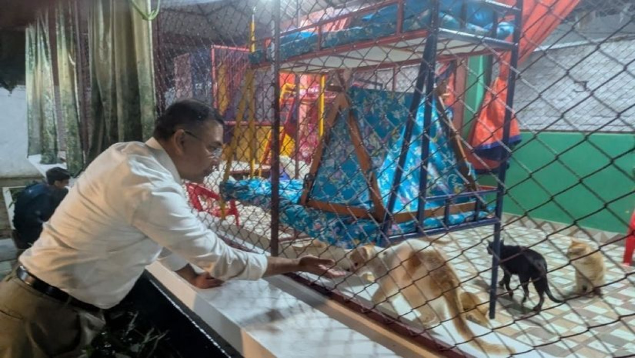 প্রাণীদের সঙ্গে খুনসুটি তারেক রহমানের