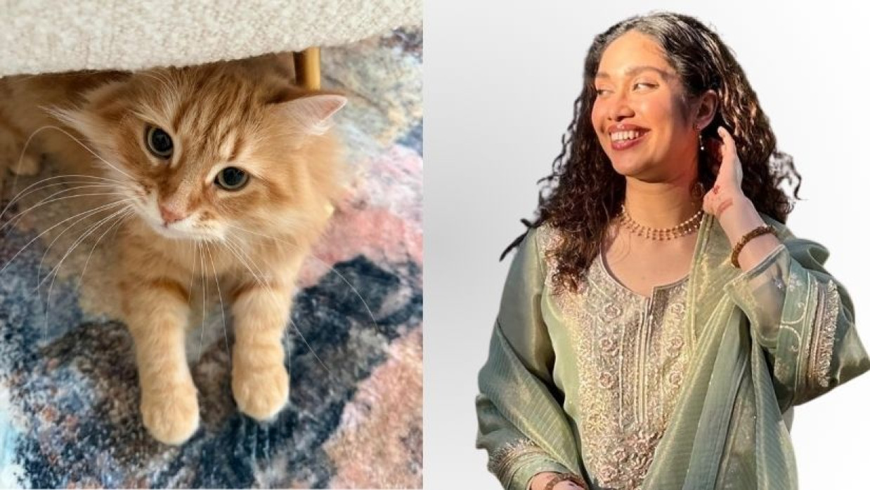 পোষা বিড়াল ‘জেবু’ ও জাইমা রহমান