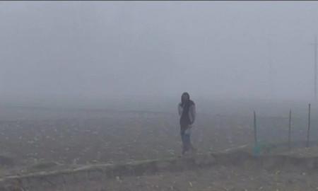 কুয়াশা আর শীতে বিপাকে উত্তরের জেলা গাইবান্ধা