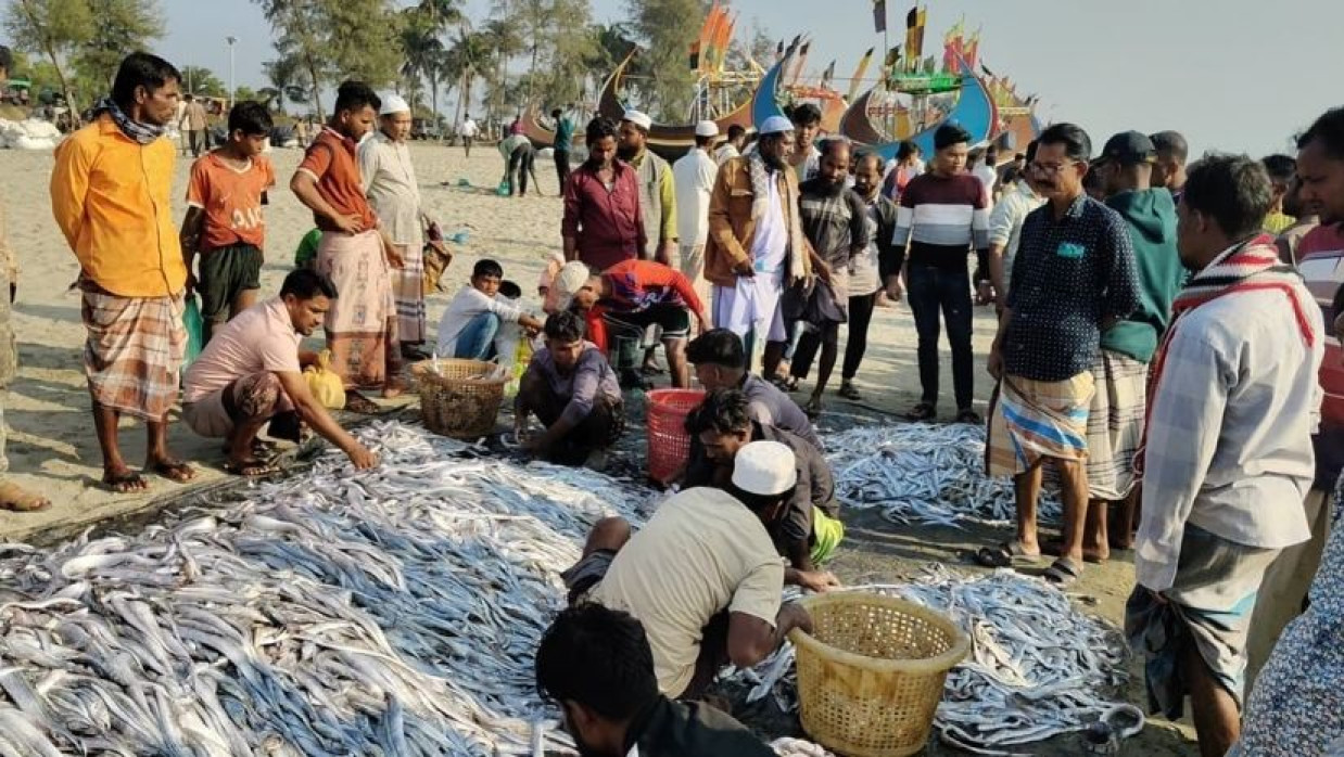 টেকনাফে জেলেদের জালে ধরা পড়ল ১০৯ মন ছুরি মাছ, বিক্রি ১০ লাখে