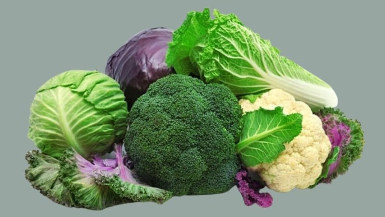 ক্যান্সার প্রতিরোধে সহায়ক হতে পারে ব্রকোলিসহ ৩ সবজি