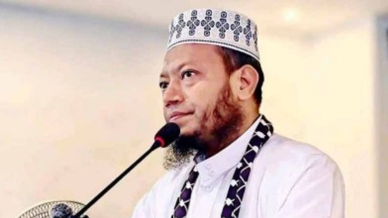 আমির হামজা