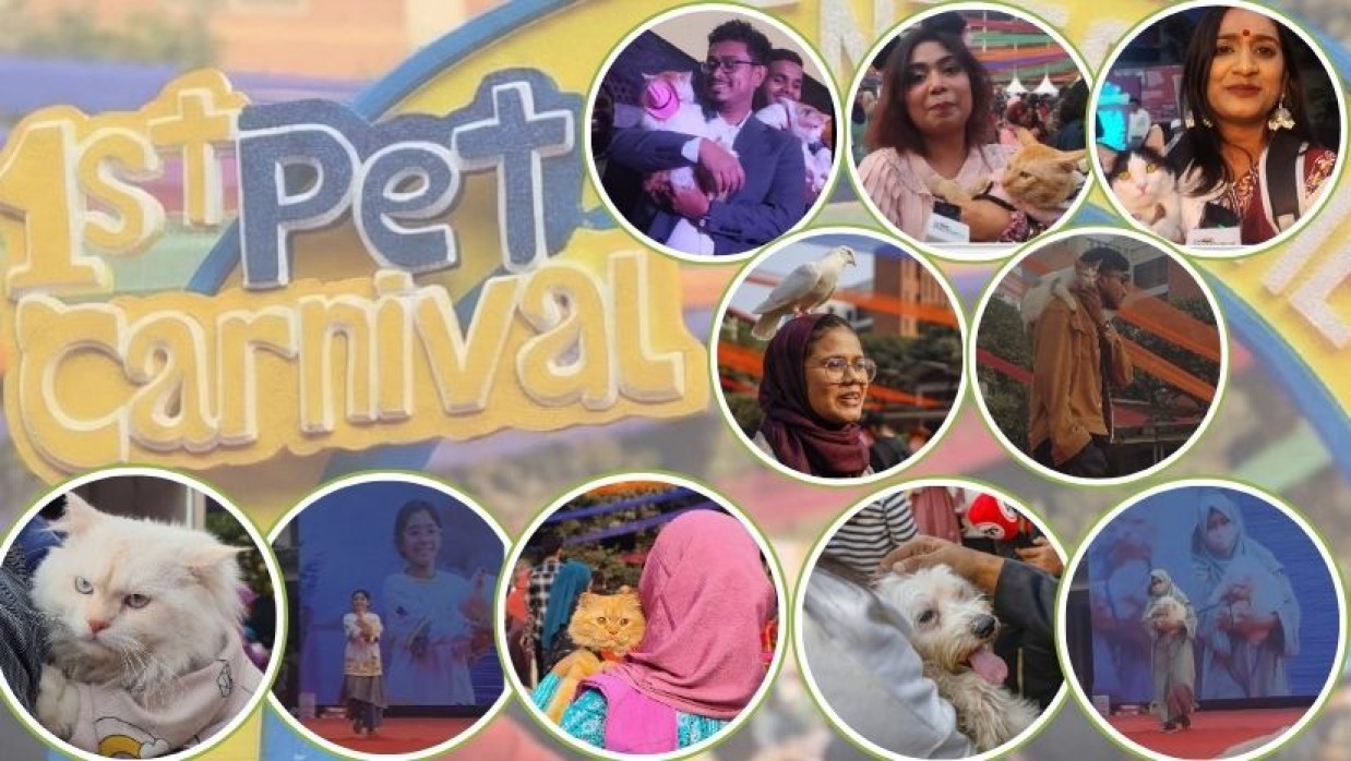 র‌্যাম্পে হাঁটল পোষা প্রাণী—ঢাকা বিশ্ববিদ্যালয়ে এমন উদ্যোগ এবারই প্রথম