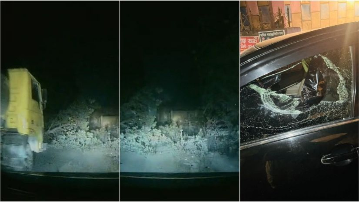 সড়কে গাছ ফেলে ডাকাতির চেষ্টা