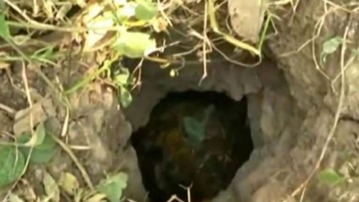  নলকূপের গর্ত থেকে আড়াই ঘণ্টা পর উদ্ধার হওয়া শিশুটি মারা গেছে