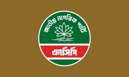 গণভোটে ‘হ্যাঁ’ বিজয়ী করতে সারা দেশে প্রচারণায় নামছে এনসিপি