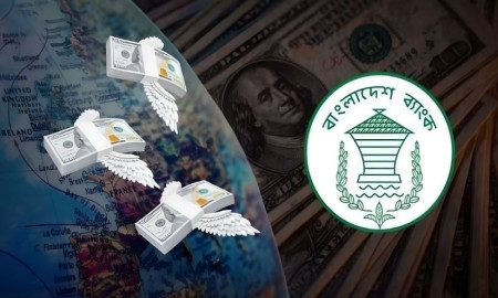 দশদিনে রেমিট্যান্স এলো ১৩ হাজার ৭৮৩ কোটি টাকা 