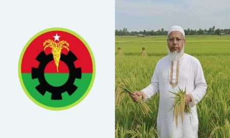 দলীয় প্রার্থীর বিরুদ্ধে মন্তব্য, বিএনপির আহ্বায়ককে শোকজ