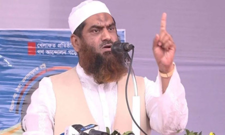 অপসাংবাদিকতার শিকার হয়েছি: মামুনুল হক