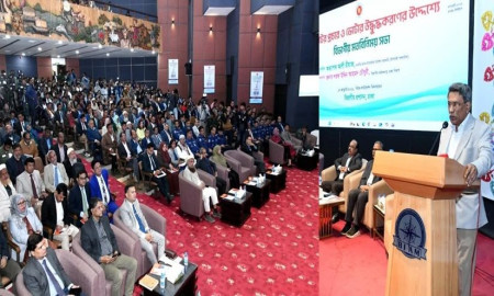 ‘হ্যাঁ’ ভোটের প্রচারণায় প্রজাতন্ত্রের কর্মচারীদের বাধা নেই: আলী রীয়াজ