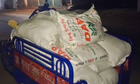 গাইবান্ধায় ২০ বস্তা রাসায়নিক সার জব্দ