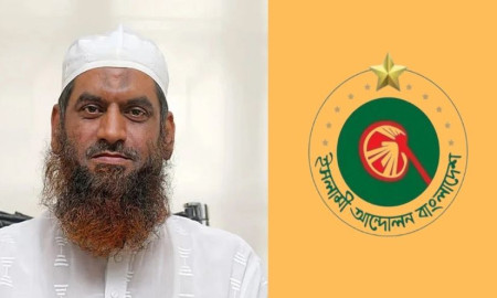 মামুনুল হকের সম্মানে ২ আসনে প্রার্থী দেবে না ইসলামী আন্দোলন বাংলাদেশ