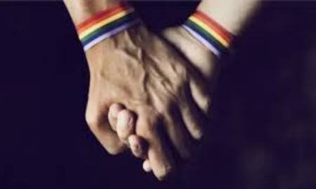 হাবিপ্রবি সংলগ্ন মেসে অপ্রীতিকর অবস্থায় দুই সমকামী শিক্ষার্থী আটক