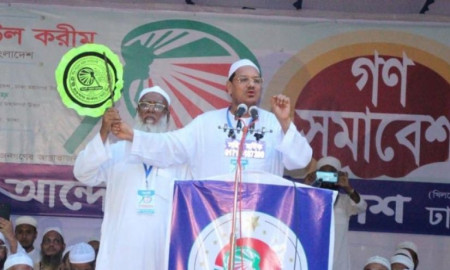 যে ২৫৯ আসনে চূড়ান্ত হলো হাতপাখার প্রার্থী (তালিকা)