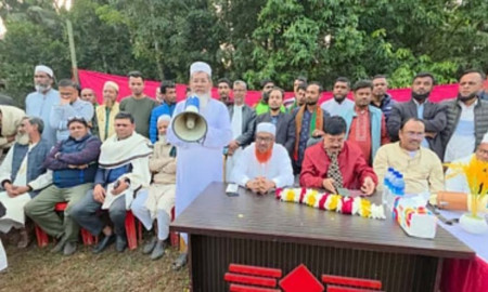 সাবেক উপদেষ্টা মাহফুজের ভাই শাপলা কলি, ধানের শীষে গণসংযোগে বাবা