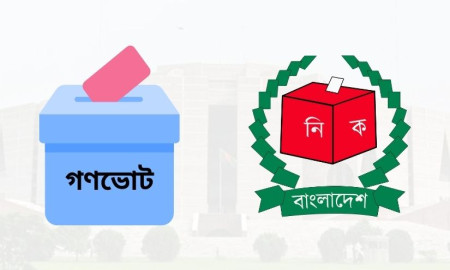 গণভোটে ‘হ্যাঁ’ জিতলে সংবিধানে যা যা বদলে যাবে, নতুন যুক্ত হবে যেসব বিষয়