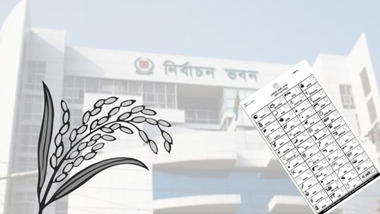 যেসব আসনের ব্যালটে থাকছে না ধানের শীষ প্রতীক