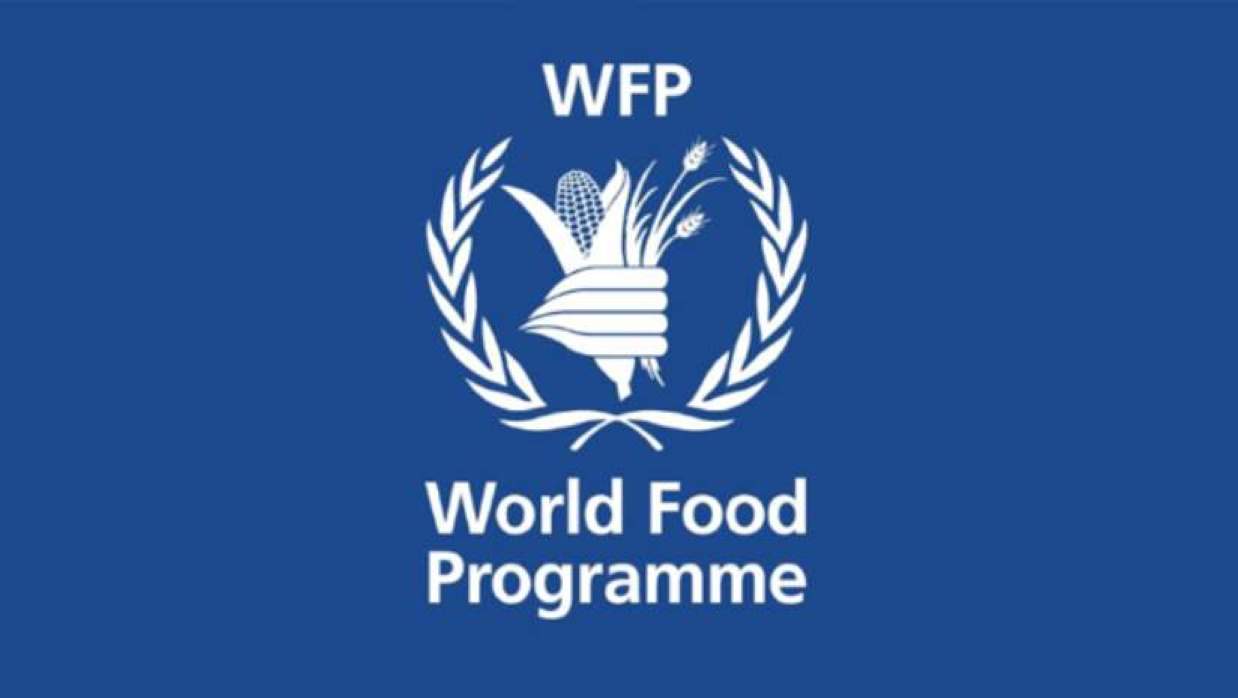 প্রোগ্রাম পলিসি অফিসার নিয়োগে আবেদন চলছে ডব্লিউএফপিতে