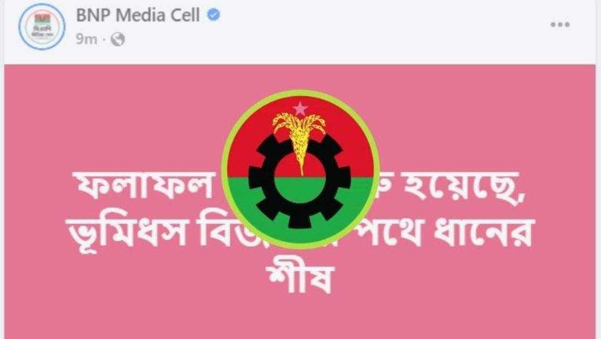 বিএনপি লোগো