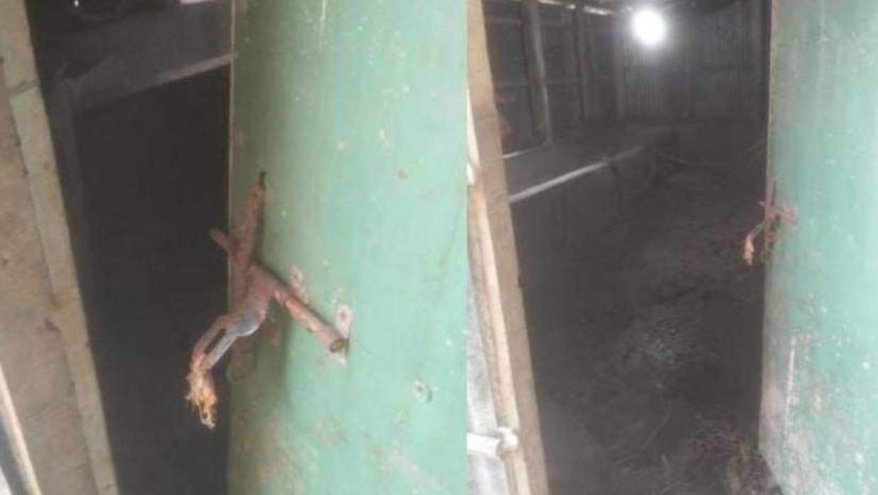 আনোয়ারায় একই রাতে দুই পরিবারের ৩ গরু চুরি