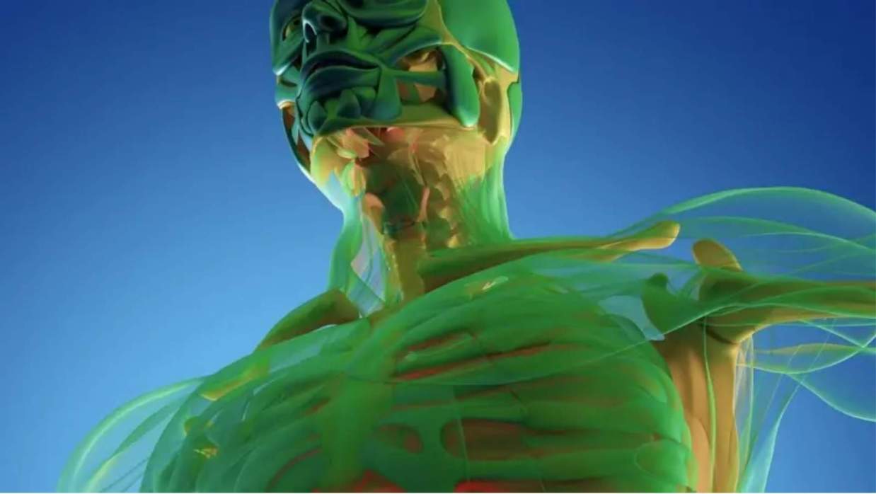 রমজান: রোজা যখন রাখেন তখন কী ঘটে আপনার শরীরে