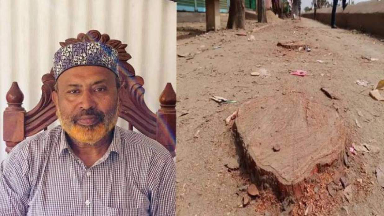 বেড়িবাঁধের গাছ কেটে ফেলা সেই বিএনপির নেতাকে বহিষ্কার