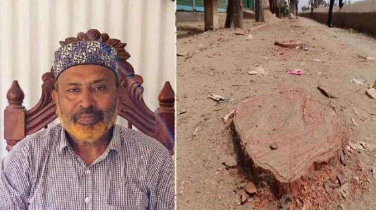 ‌‘গাছকাটা’ জাহাঙ্গীরকে বহিষ্কার করল বিএনপি