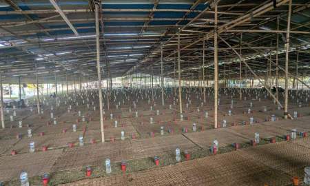 সাতক্ষীরার নলতায় ৬ হাজার রোজাদারের অপেক্ষায় প্রস্তুত ইফতারির মাঠ