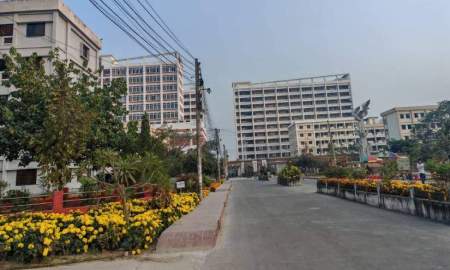 ফাল্গুনে আগুনঝরা: পাবিপ্রবি ক্যাম্পাসে বসন্তের রঙিন ছোঁয়া