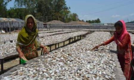বনদস্যু আতঙ্কে সাগরে মাছ ধরা বন্ধ, দুবলারচরে জেলেদের মধ্যে ভয়-অনিশ্চয়তা