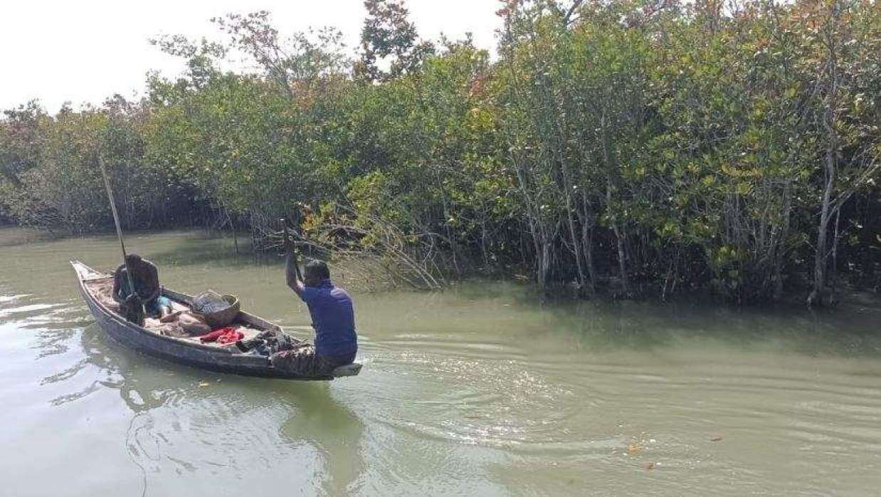 কাঁকড়া ধরার জন্য সুন্দরবনে যাচ্ছেন জেলেরা