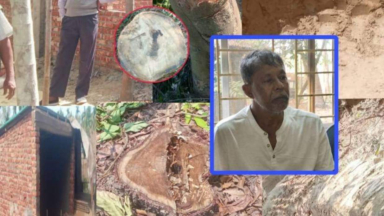 শিলখালী রেঞ্জে সংরক্ষিত বনভূমির গাছ কেটে ফেলা হয়েছে। (ইনসেটে রেঞ্জ কর্মকর্তা আবুল কালাম)