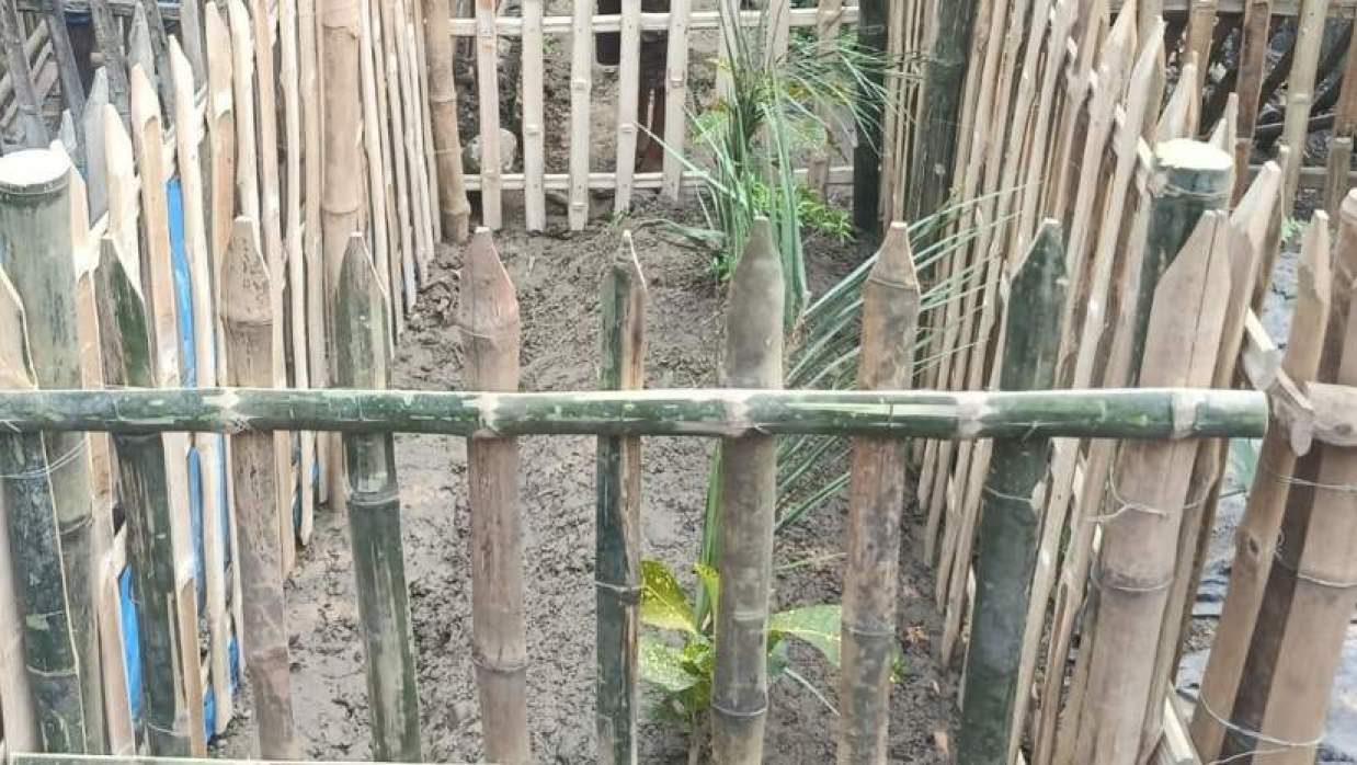 চিরনিদ্রায় শায়িত ইবি শিক্ষিকা