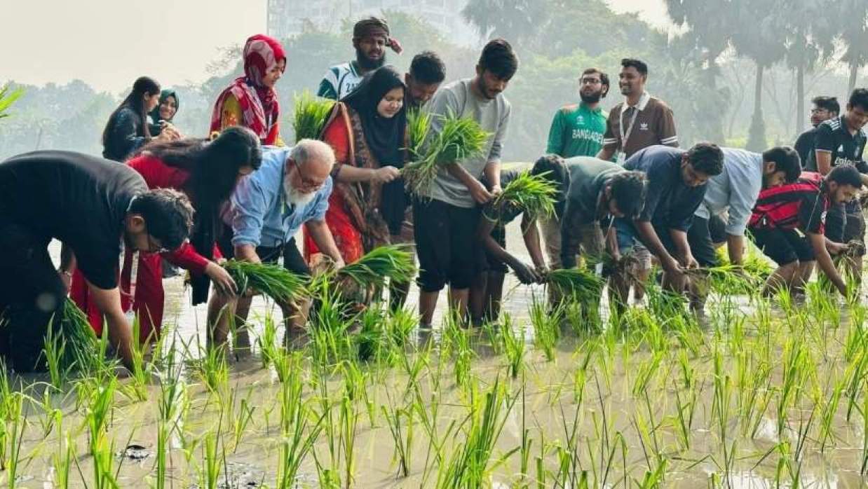 অধ্যাপক ড. এম এ রহিম